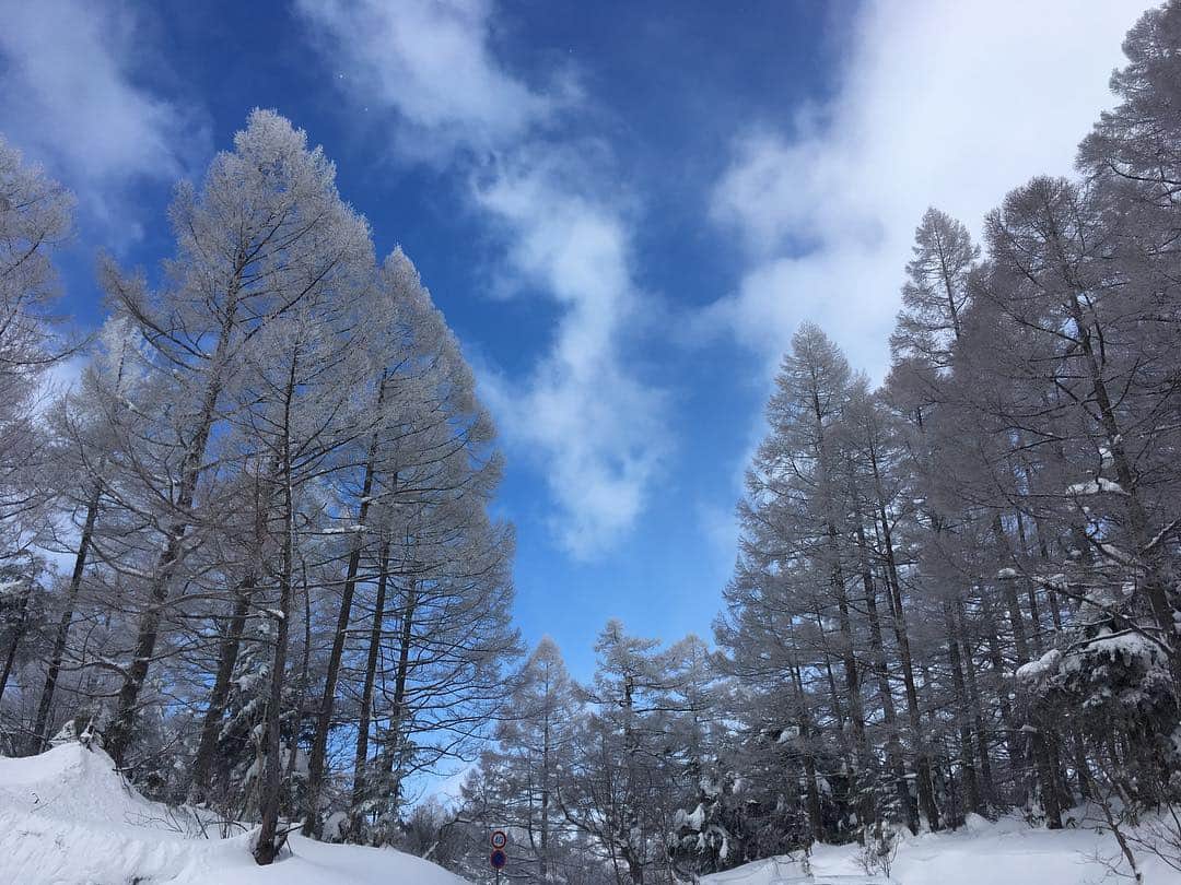 三石佳那さんのインスタグラム写真 - (三石佳那Instagram)「ㅤㅤㅤㅤㅤㅤㅤㅤㅤㅤㅤㅤㅤㅤㅤㅤㅤㅤㅤㅤㅤㅤㅤㅤㅤㅤㅤㅤㅤㅤㅤㅤㅤㅤㅤㅤㅤㅤㅤㅤㅤㅤㅤㅤㅤㅤㅤㅤㅤㅤㅤㅤㅤㅤㅤㅤㅤㅤㅤㅤ ㅤㅤㅤㅤㅤㅤㅤㅤㅤㅤㅤㅤㅤㅤㅤ 長野県の志賀高原で﻿ スノーシューハイキング﻿ の取材をしてきました☺︎﻿ ﻿ もう、心も身体も癒されまくり﻿です。 ﻿ 念願叶う、幸せな仕事でした。 ﻿ 取材の感想や放送の詳細は後ほど！﻿ ﻿ ﻿ #志賀高原#shigakogen#shigakogenbeer #山ノ内#スノーシューハイキング#長野県#nagano#BSN#新潟放送」1月20日 19時45分 - mitsuishi_kana_bsn