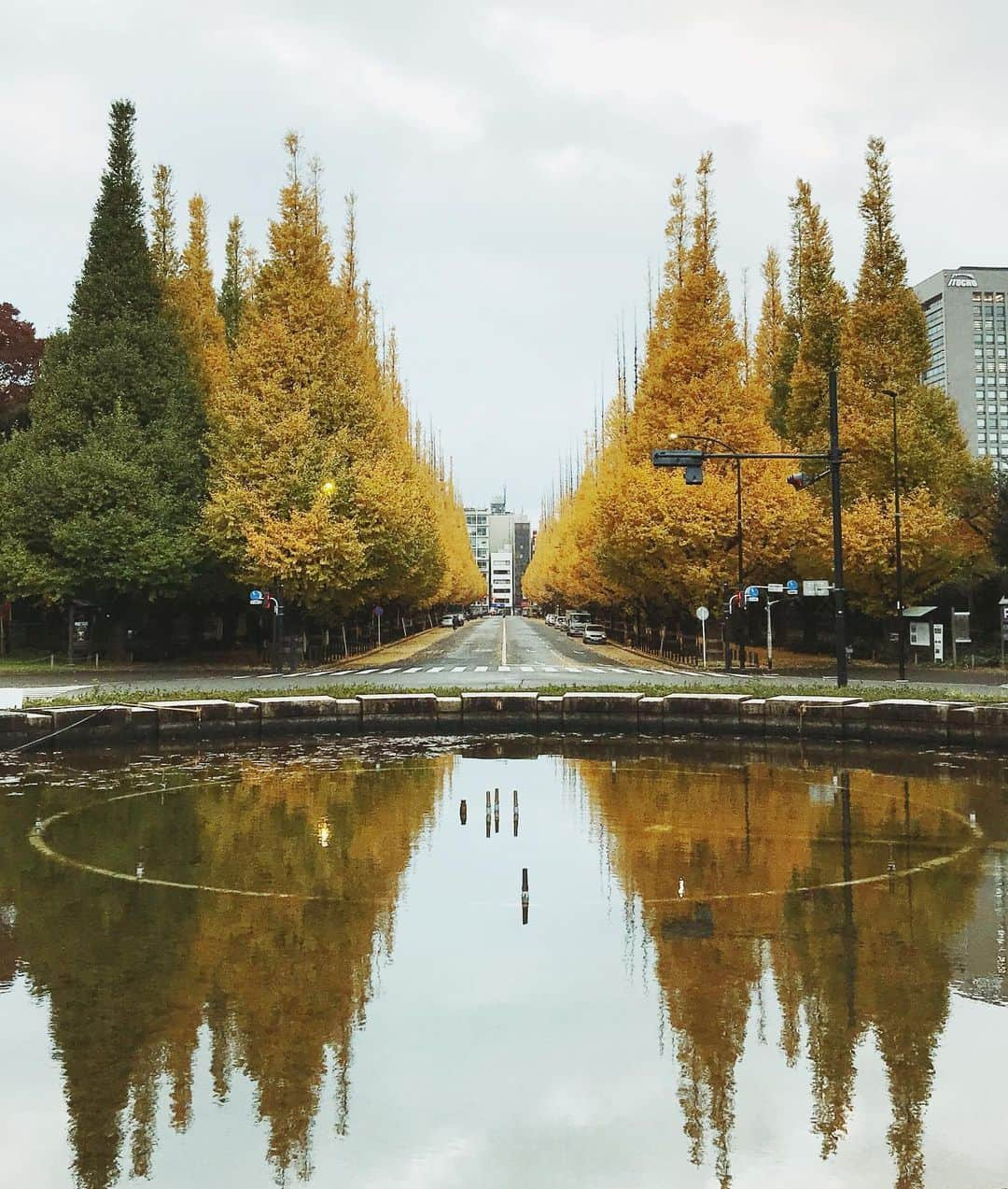 Koshiさんのインスタグラム写真 - (KoshiInstagram)「Autumn reflection」1月20日 20時59分 - koshi_another_side