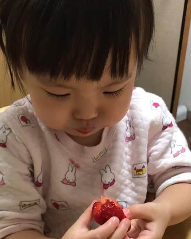 のインスタグラム：「#いちご #娘 #2歳2ヶ月 #娘からインフルエンザもらった #2枚目はインフルエンザの娘 #娘も父もインフルエンザ治って良かった #今度いちご狩り行こうと思う」
