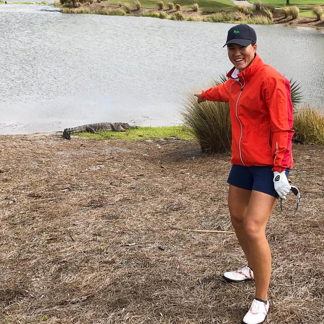 ヴィッキー・ハーストのインスタグラム：「Saw this big boy out on the course today 👀 #lookout」