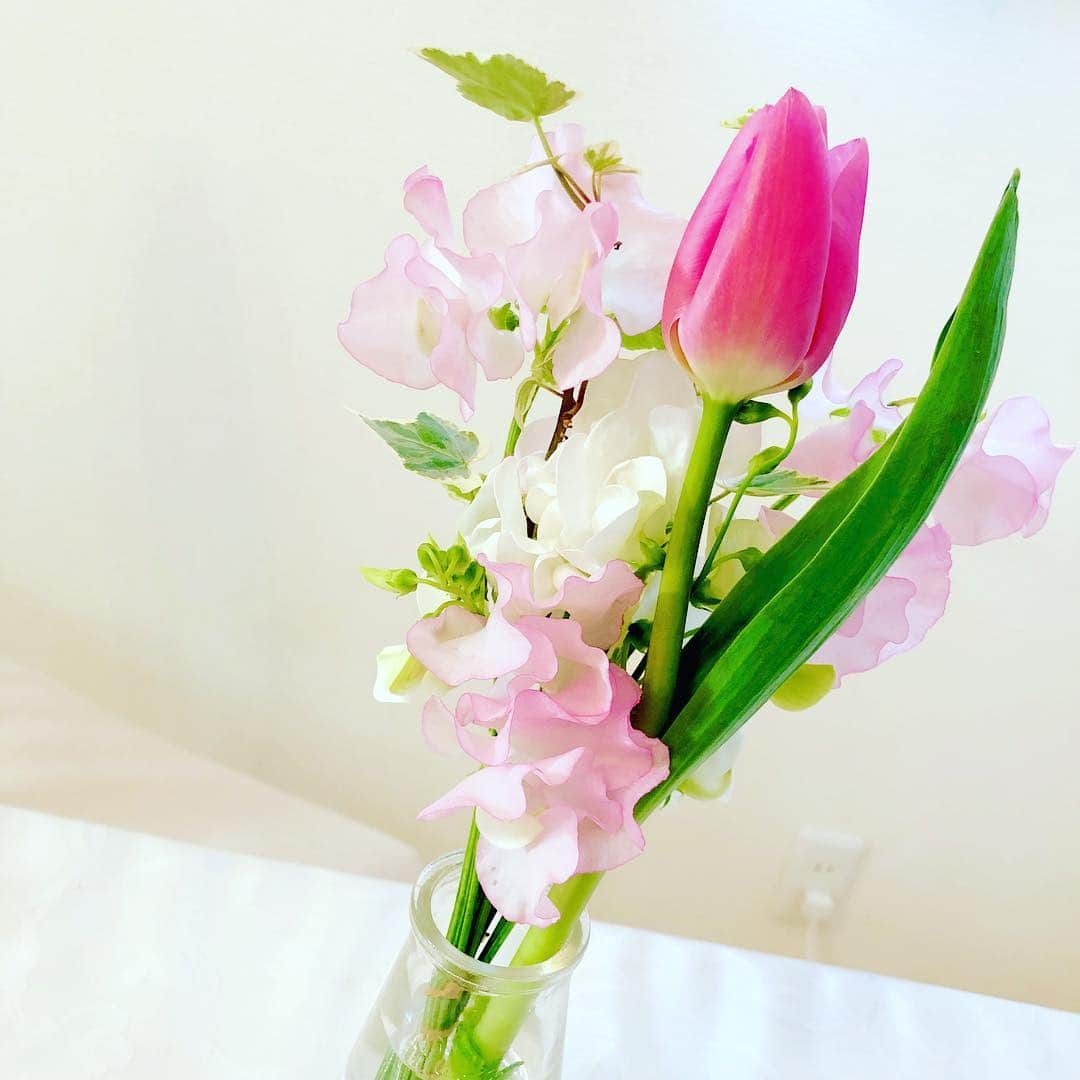 江川清音さんのインスタグラム写真 - (江川清音Instagram)「今日は、スイートピーの日🥰﻿ お花のある生活を🌷🌸﻿ ﻿ #スイートピーの日 #チューリップ #アイビー #スイートピー #お花 #お花のある暮らし」1月21日 16時35分 - egawasayane