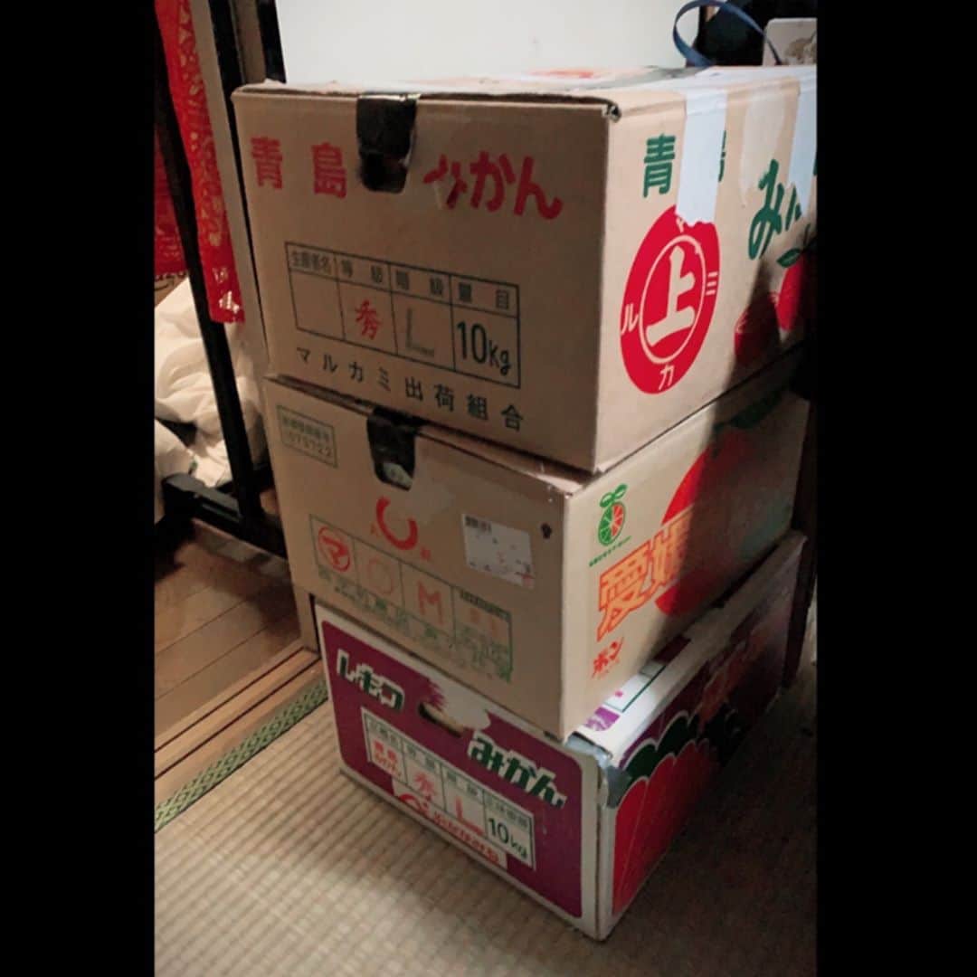 のインスタグラム：「なんでもないダンボール箱に胸が締め付けられることがあります。 #ダンボールばこ #望郷 #みかん #ノスタルジック」