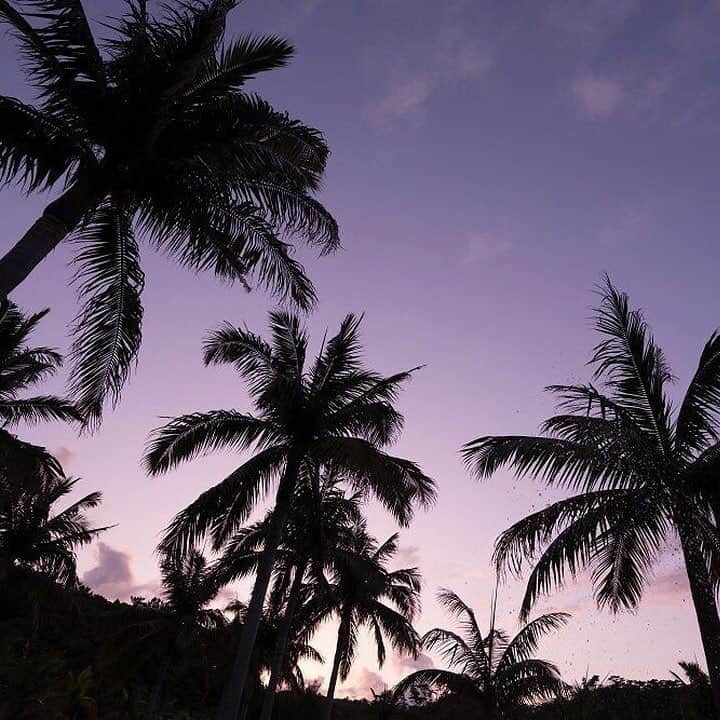 カヌチャリゾートさんのインスタグラム写真 - (カヌチャリゾートInstagram)「.﻿ スターダストファンタジアが始まる前のカヌチャの空🌴✨⠀﻿ 空が紫に染まってきれいです😌✨✨⠀﻿ ⠀﻿ カヌチャのイルミネーションは2月14日までです！⠀﻿ まだの方も二回目の方も、ぜひ見に来てくださいー！✨✨⠀﻿ ⠀﻿ #カヌチャ⠀⠀⠀⠀⠀﻿ #kanucha⠀⠀⠀⠀⠀﻿ #リゾート⠀⠀⠀⠀⠀﻿ #resort⠀⠀⠀⠀⠀﻿ #カヌチャリゾート⠀⠀⠀⠀⠀﻿ #沖縄⠀⠀⠀⠀⠀﻿ #okinawa⠀⠀⠀⠀⠀﻿ #スターダストファンタジア⠀⠀⠀⠀⠀﻿ #イルミネーション⠀⠀⠀⠀⠀﻿ #イルミ⠀⠀⠀⠀⠀﻿ #illumination⠀⠀⠀⠀⠀﻿ #ライトアップ⠀⠀⠀⠀⠀﻿ #デート⠀﻿ #sunset」1月21日 14時10分 - kanucha_resort