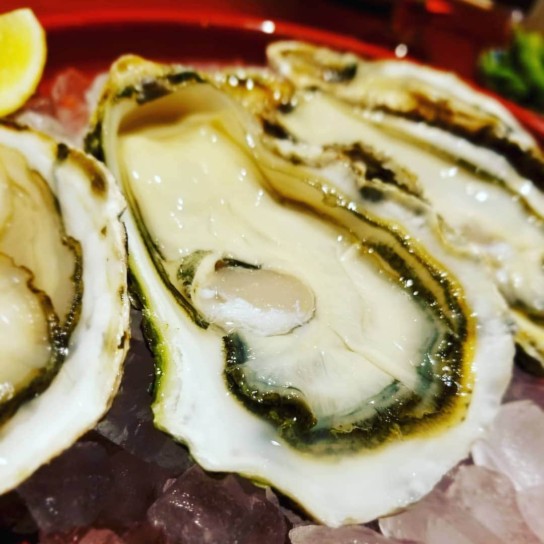 五味侑也のインスタグラム：「エロうま！  #牡蠣 #広島 #カキフライ #エロい #観光は出来ず #hiroshima #oyster」