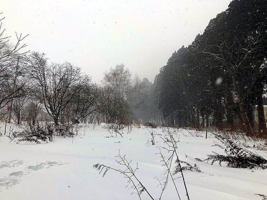 奥山かずささんのインスタグラム写真 - (奥山かずさInstagram)「グラビアの仕事で青森に行きました。もう一度言います。グラビアの仕事で👙青森に☃️行きました。 ちなみに青森の人は分かると思いますが今日は寒波、吹雪でしたね。 24歳 全力で挑んだ #吹雪グラビア 詳細は後ほど。 また一歩大きく成長できました。笑 いつも応援してくださるみなさんと、スタッフさんに感謝です。」1月21日 20時30分 - kazusa_okuyama_official