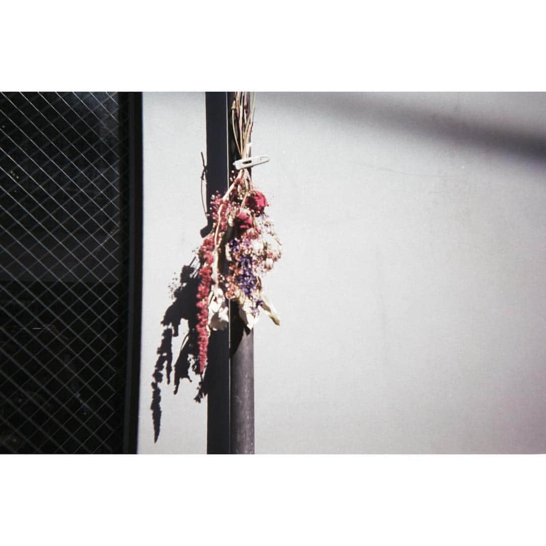加藤小夏さんのインスタグラム写真 - (加藤小夏Instagram)「@cnp.572 #filmcamera」1月21日 20時59分 - __cnp_