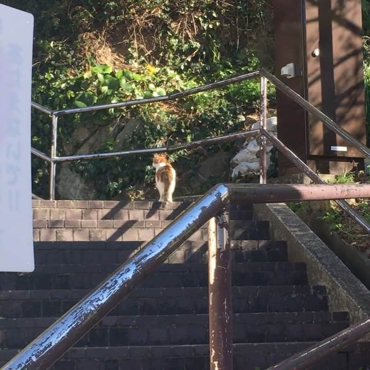 田中あいみのインスタグラム