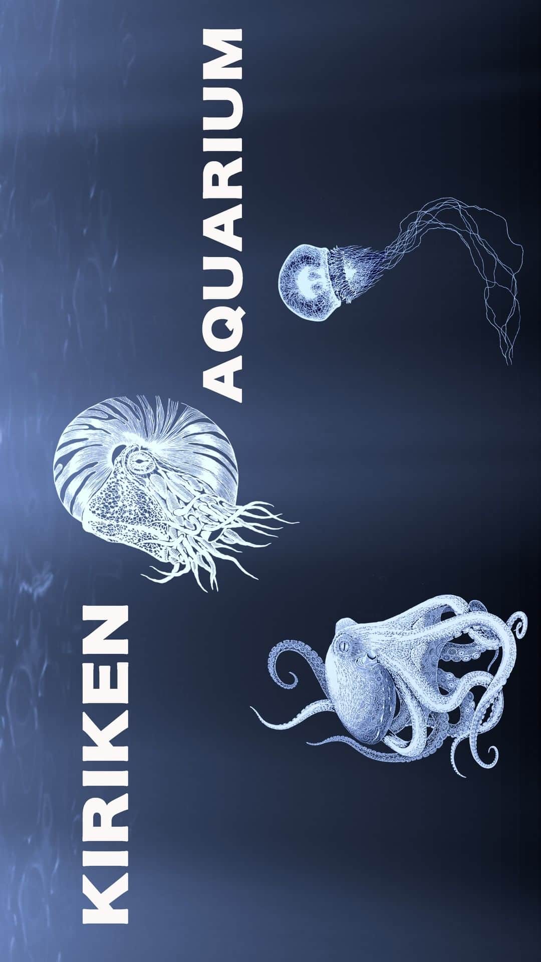 切り剣Masayoのインスタグラム：「切り剣こと切り絵創作家 福田 理代（Masayo）です。今回の動画は、水族館とういうテーマで、私の海洋勢物たちの切り絵を紹介いたします。最後まで見ていただけたら嬉しいです。／My name is Masayo Fukuda. I am Paper Cutting Artist Masayo!　In this movie, I will introduce the cuttings of my ocean creatures in the theme of aquarium. 　I would be happy if you could see it to the end.  BLOG 切り剣こと切り絵創作家Masayo https://www.kirie-masayo.com  切り剣こと 切り絵創作家 福田 理代（Masayo）の再生リスト https://www.youtube.com/playlist?list=PL3OcNGd1o8fe9mLNz2yzDU2dg3_zDQEyj  Instagram https://www.instagram.com  Twitter https://twitter.com/kiriken16」