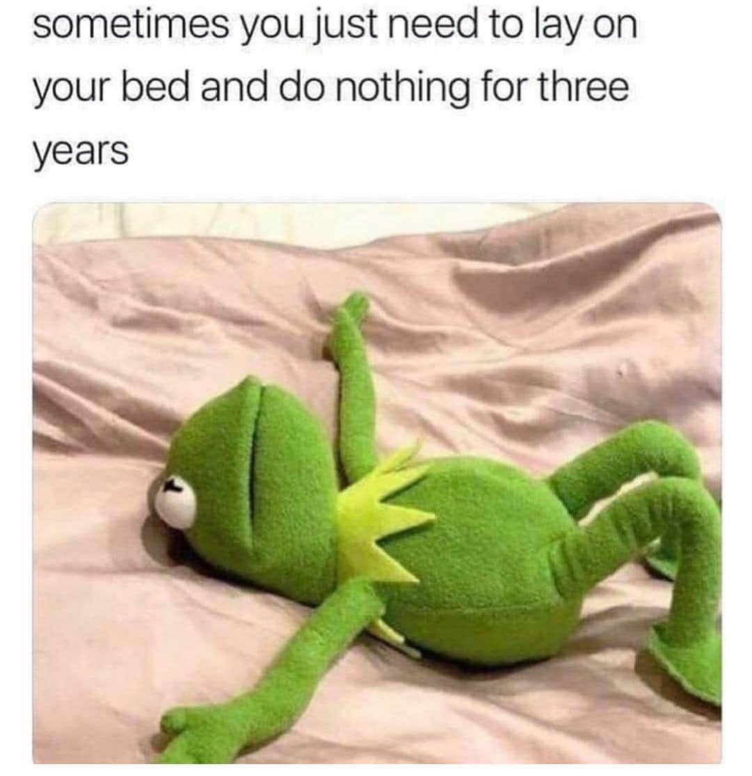 リリ・ラインハルトのインスタグラム：「Kermit Meme Monday」
