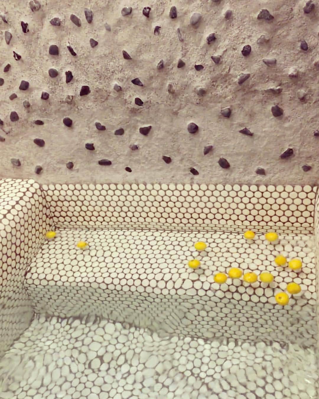 澤口麻理のインスタグラム：「#🍋#🍊#♨︎#bath#bathroom#japan」