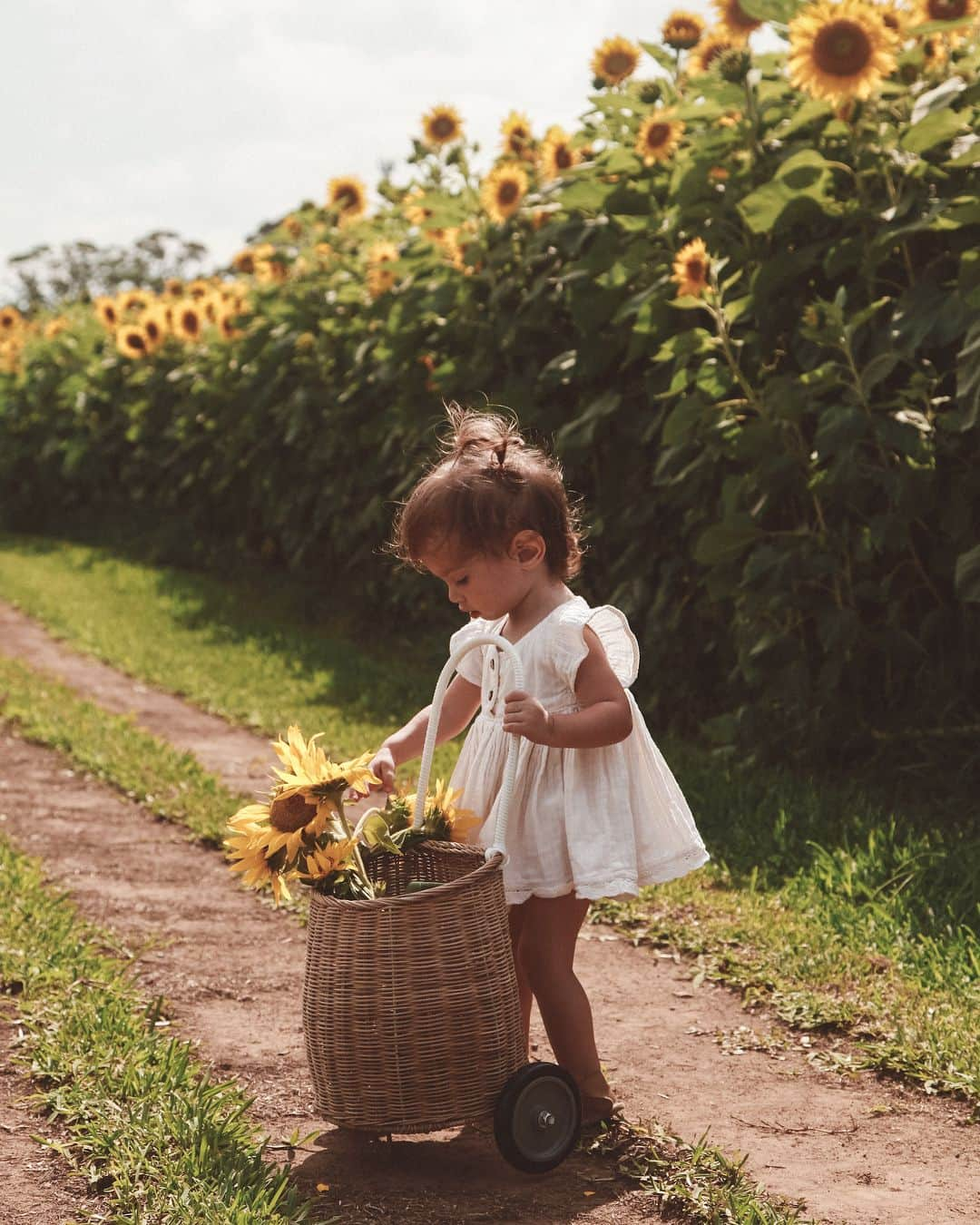 ジェシカ・スタインさんのインスタグラム写真 - (ジェシカ・スタインInstagram)「The sunshine of our lives. 🌻」1月22日 19時39分 - tuulavintage