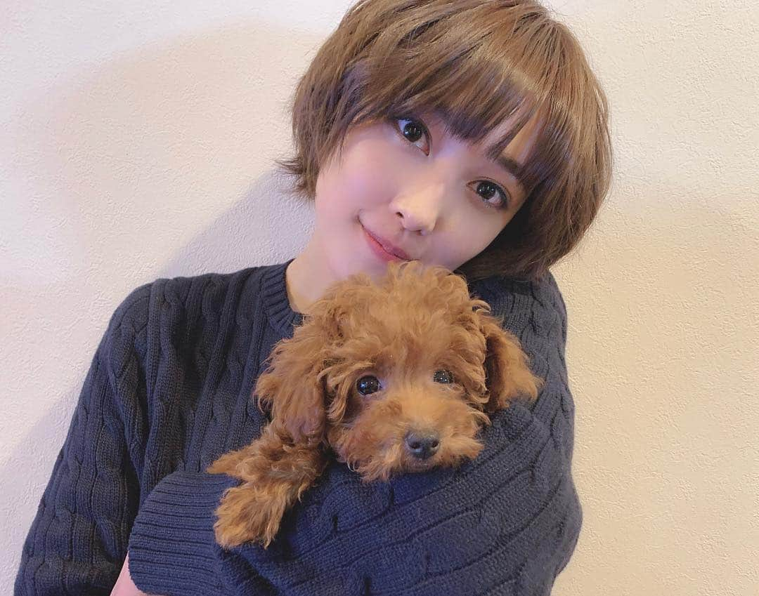 amiさんのインスタグラム写真 - (amiInstagram)「🐶💗💗 #jdeez #ami #ジェイディーズ #dog #犬」1月22日 19時47分 - amidesudoumo