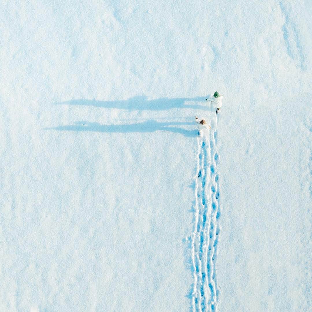 濱田英明のインスタグラム：「@suntory_greendakara, 2019 #グリーンダカラ #mavicpro #drone」