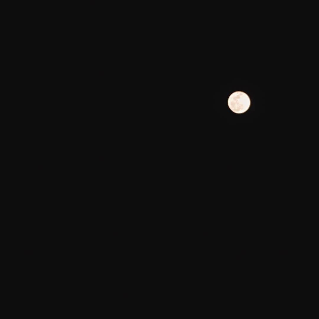 秋本祐希さんのインスタグラム写真 - (秋本祐希Instagram)「昨夜の満月 吸い込まれてしまいそうな 神秘的な美しさの中 くーだらねーと つーぶやいて〜 と 夜空を見上げながら ついつい口ずさんでのお散歩☺︎ 月のうさぎの餅つきのお話を思い出したり たくさん深呼吸してパワーチャージしました 今宵もまたキレイなお月様🌝 おやすみなさい #goodnight #fullmoon #moon #夜散歩」1月23日 0時29分 - ayuuki0908