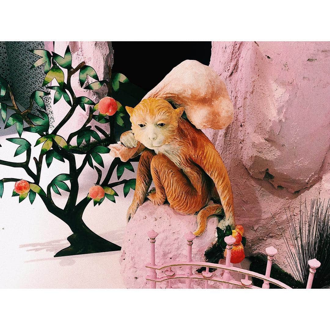 松尾レミさんのインスタグラム写真 - (松尾レミInstagram)「KLOKAのバレンタイン、2019年はシュールな顔の猿がいたり、蛇口をひねればルビーカカオのピンクホットチョコレートが出てきたり、竜宮城が現れます、かわいー！！」1月23日 0時38分 - remimatsuo