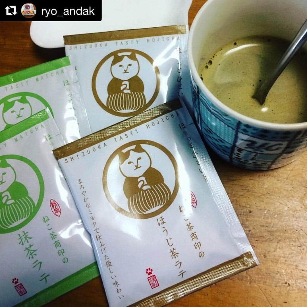 ねこのインスタグラム