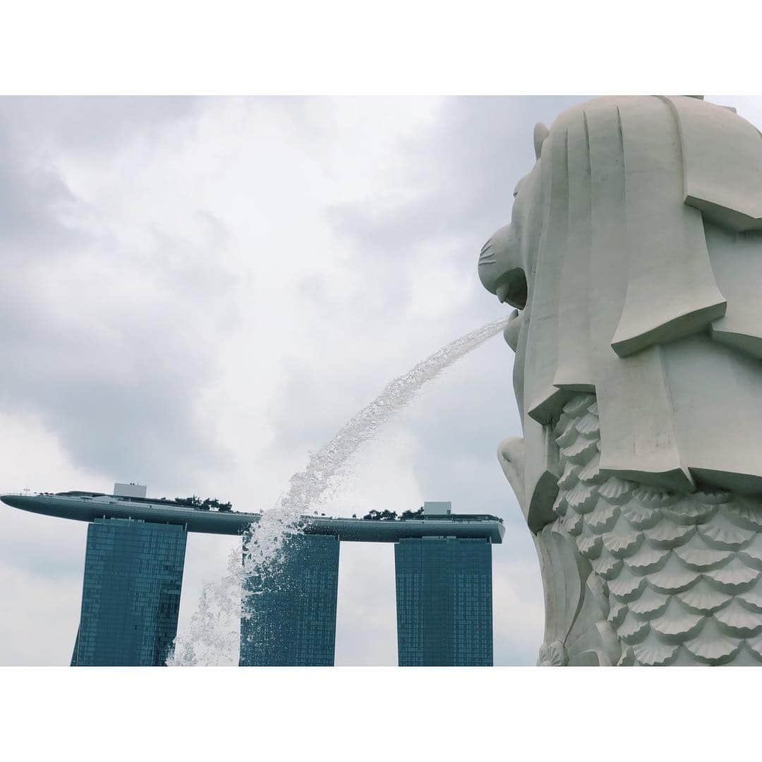 的場絢香さんのインスタグラム写真 - (的場絢香Instagram)「#20181229﻿ ﻿ Merlion.﻿ ﻿ ど定番のこれ、﻿ やらないとねっ✌︎笑﻿ ﻿ __________________________﻿ #マトバの海外旅行記 #🇸🇬 #シンガポール #マーライオン #singapore #merlion #trip」12月30日 19時01分 - ayaka_matoba