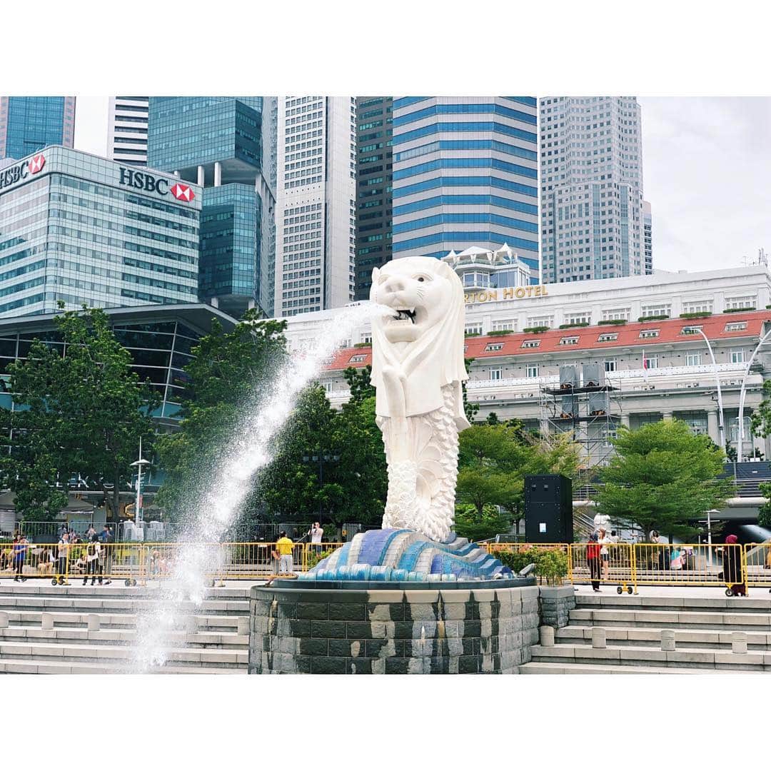 的場絢香さんのインスタグラム写真 - (的場絢香Instagram)「#20181229﻿ ﻿ Merlion.﻿ ﻿ ど定番のこれ、﻿ やらないとねっ✌︎笑﻿ ﻿ __________________________﻿ #マトバの海外旅行記 #🇸🇬 #シンガポール #マーライオン #singapore #merlion #trip」12月30日 19時01分 - ayaka_matoba