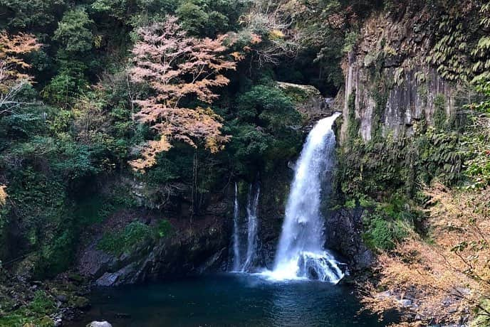 中村駿太さんのインスタグラム写真 - (中村駿太Instagram)「家族旅行😃  #伊豆半島 #海よし #滝よし #蟹よし #天気よし #恋人岬でちゃんと鐘鳴らしといた #自慢の父母姉妹 #楽しかった #中村家」12月30日 20時45分 - shunta__nakamura