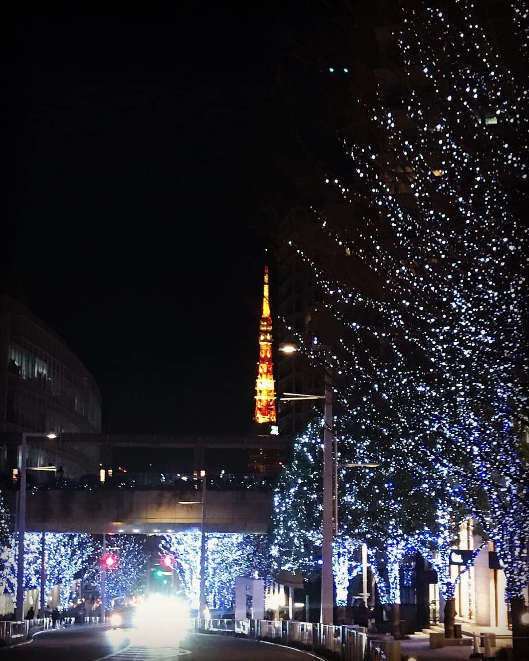 斉藤麻衣さんのインスタグラム写真 - (斉藤麻衣Instagram)「i love 🗼 #日本よいとこ #日本よいとこツアー」12月30日 20時58分 - maismamnos