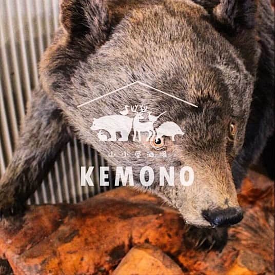 KEMONOのインスタグラム：「KEMONOでは～1/8まで、年末年始も営業しております❗️ ジビエは食用の肉と比べて栄養価が高く、脂肪が少ないためカロリーも低い❗️ 来年1年のスタミナをつけにぜひ、ご来店ください😆✨ 2019年も変わらぬご愛顧を賜りますようよろしくお願い申し上げます✨ . #KEMONO #ラム肉 . #ジンギスカン #ジビエ #ジビエ料理 #国産 #広島県産 #お酒 #肉 #お肉 #ステーキ #焼き物 #グルメ #ヘルシー  #山 #肉好きな人と繋がりたい . #ミナミ #大阪 #難波 #道頓堀 #裏なんば #千日前 . #osaka #dotonbori #yakiniku #japanesefood」