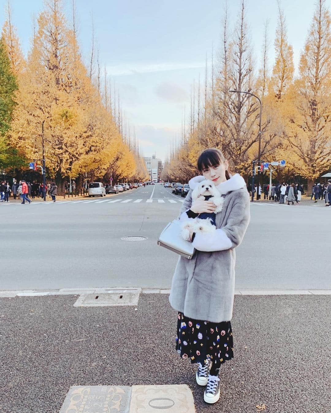 Perfumeさんのインスタグラム写真 - (PerfumeInstagram)「My favorite memory of 2018 - I went to see the autumn leaves with POPO-chan🍁 She ran around on the gingko leaves. 🎶 Thank you for growing up healthy. a-chan  ぽぽちゃんと紅葉を見に行ったよ🍁イチョウの上をくるくる走り回ってた〜♪ 元気に大きくなってくれてありがとう。 あ〜ちゃん  #prfm」12月31日 9時01分 - prfm_official