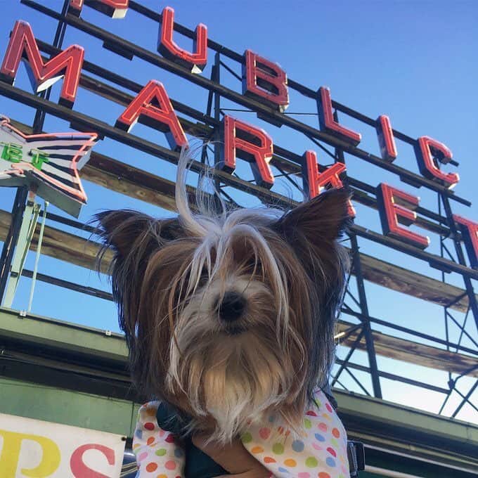 FattieButters®のインスタグラム：「Elizabeth, the creator of FattieButters lived every day with love and generosity to others. We received word that by her cornea donation, two complete strangers have had their sight restored.  Knowing they have Elizabeth’s last tangible gift to this world reminds us that her spirit will live on forever. #SightLife #giftofsight  Elizabeth’s FattieButters book will be out the first quarter of 2019.  Thank you all for you kind words and support.」