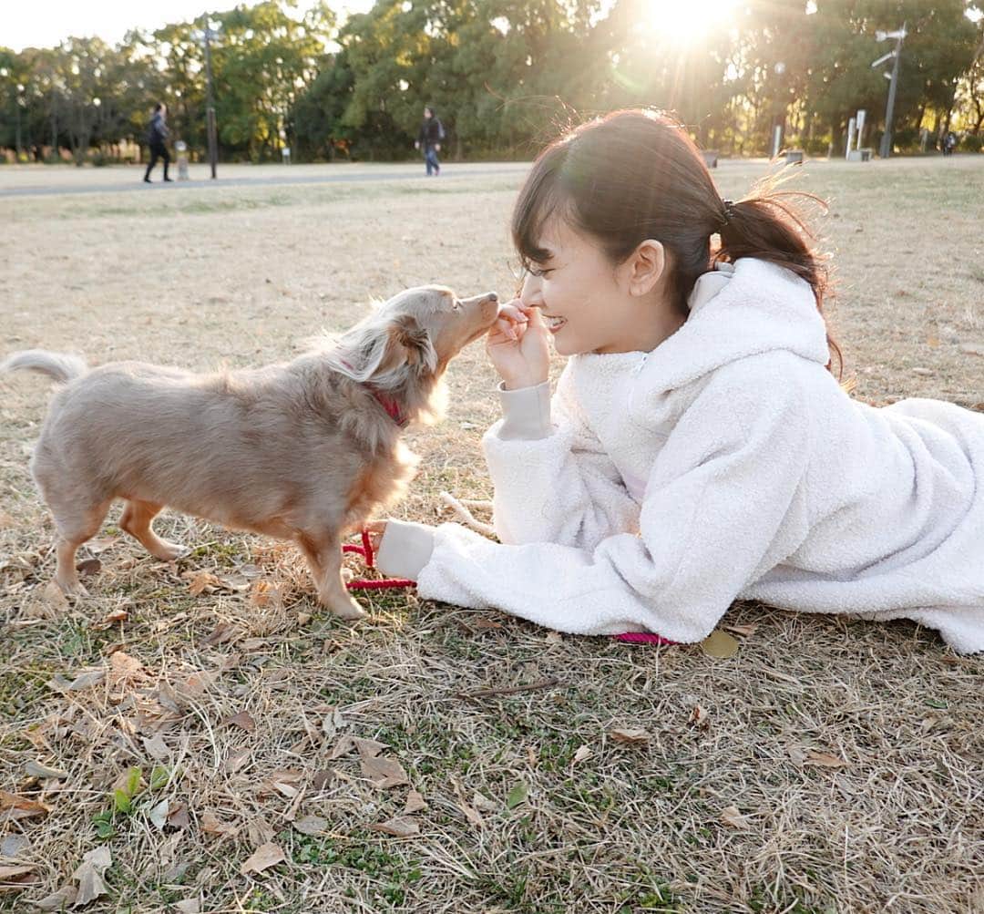 西川瑞希（みずきてぃ）さんのインスタグラム写真 - (西川瑞希（みずきてぃ）Instagram)「今日でお仕事納めして、夕方からティアちゃんと公園へ🐶ゆったりまったりのほほん♡ . #mybaby #dog #ティアちゃん #公園 #お散歩」12月30日 23時59分 - mizuki_nishikawa_