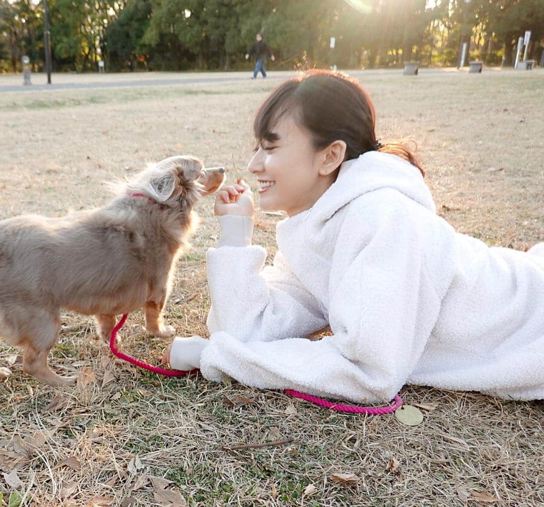 西川瑞希（みずきてぃ）さんのインスタグラム写真 - (西川瑞希（みずきてぃ）Instagram)「今日でお仕事納めして、夕方からティアちゃんと公園へ🐶ゆったりまったりのほほん♡ . #mybaby #dog #ティアちゃん #公園 #お散歩」12月30日 23時59分 - mizuki_nishikawa_