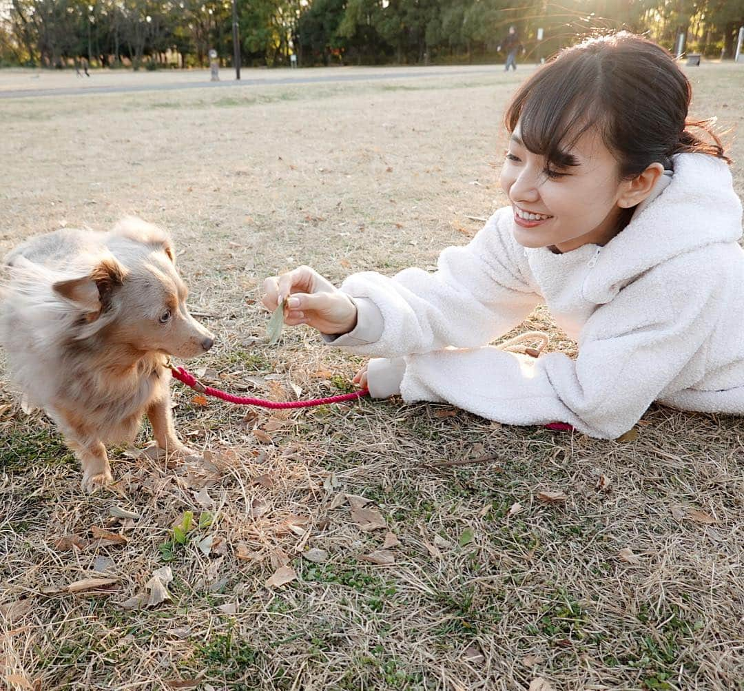 西川瑞希（みずきてぃ）さんのインスタグラム写真 - (西川瑞希（みずきてぃ）Instagram)「今日でお仕事納めして、夕方からティアちゃんと公園へ🐶ゆったりまったりのほほん♡ . #mybaby #dog #ティアちゃん #公園 #お散歩」12月30日 23時59分 - mizuki_nishikawa_