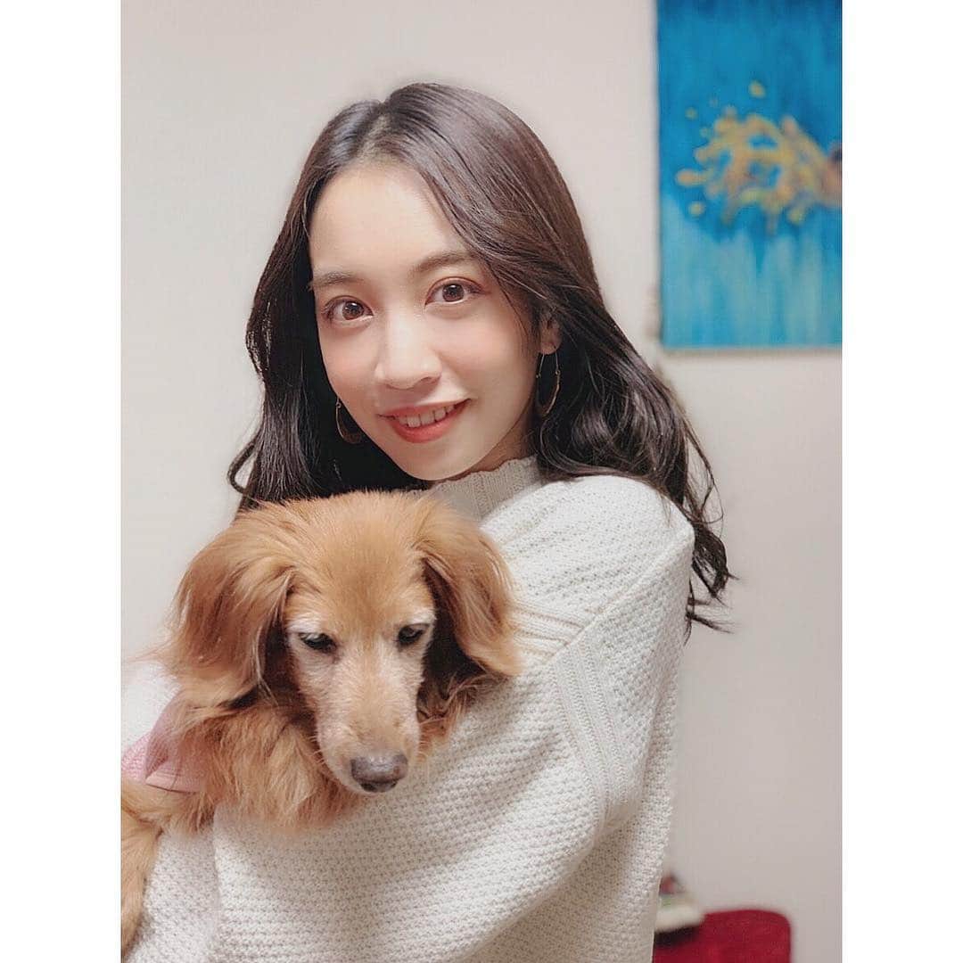 渡辺亜紗美さんのインスタグラム写真 - (渡辺亜紗美Instagram)「2018年ありがとうございました☺︎ 来年もよろしくお願いします😊🎍 愛犬のかれんです🐶💋 #渡辺亜紗美 #2018」12月31日 18時12分 - asami_w927