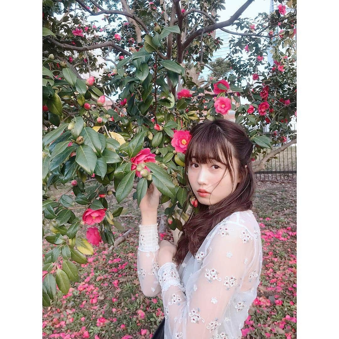 増澤璃凜子さんのインスタグラム写真 - (増澤璃凜子Instagram)「2018年も終わりなので  #自撮り供養 なるものを、、 他撮りの方が多いけど（笑） . press blogに今年のことを振り返りました🐶 プロフィールやストーリーから 飛べるので絶対みてね！！ 伝えたいこと全部そこに書いたので！！！！ 本当に愛溢れる最高の一年でした♡ 感謝の気持ちで一杯です。 本当にありがとうございました。 . 良いお年をお迎えください🥳  #2018年振り返り #2018 #増澤璃凜子 #リリコマスザワ #シンデレラバスト #薄顔でもかわいくなれる #戌年 #年女最高でした #愛」12月31日 16時32分 - ririkomasuzawa