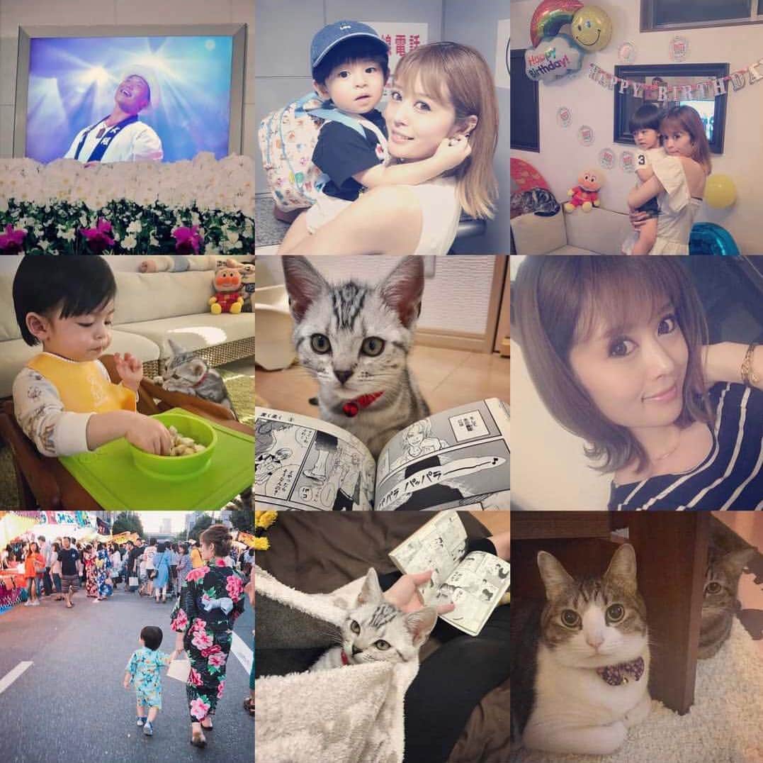 池田麻理子のインスタグラム：「今年もみんな遊んでくれてありがとうー💗 コメントやDMもありがとう🐈 来年もよろしくお願いします🤪 #2018bestnine  #ベスト9とか言ってるけど今年たいして投稿してなかった #来年はもうちょっと増やすね #猫かチビどっちがいいんだろう🤔」