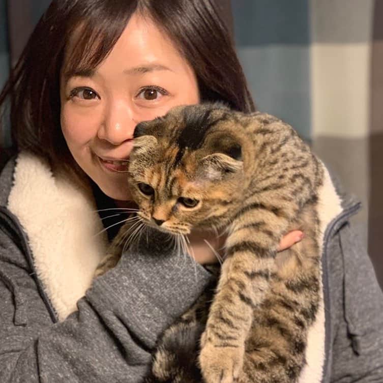 小林愛さんのインスタグラム写真 - (小林愛Instagram)「明けましておめでとうございます㊗️ るーたん、年越し前に起きて来た。エラい✨ 全然カメラ見てくんないけど、無理くりパチリ☺️ #猫 #スコティッシュフォールド #あけましておめでとうございます」1月1日 0時11分 - love_me_ai