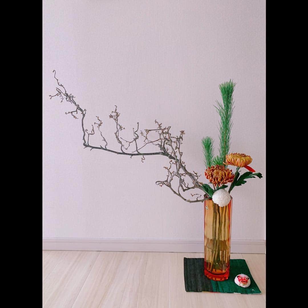 吉田羊さんのインスタグラム写真 - (吉田羊Instagram)「みなさま、 あけましておめでとうございます。  今年も日々、 愛ある言葉を渡し合って 人も自分も幸せにして行きましょう。  みなさまそれぞれの叶えたいことが 今年叶いますように。  2019年 元旦」1月1日 0時34分 - yoshidayoh_official