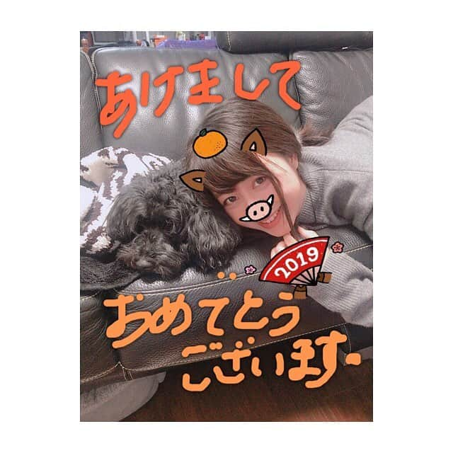 林美沙希さんのインスタグラム写真 - (林美沙希Instagram)「明けましておめでとうございます。 今年は勢いもつけて頑張りたいです。 挑戦したいこともたくさんあるので、少しずつ進んでいけたら✨ 皆様、どうぞよろしくお願いします！  #あけましておめでとうございます#2019#実家でぬくぬく#犬と#黒くてわからない#林家#撮影は弟」1月1日 12時24分 - misaki0hayashi