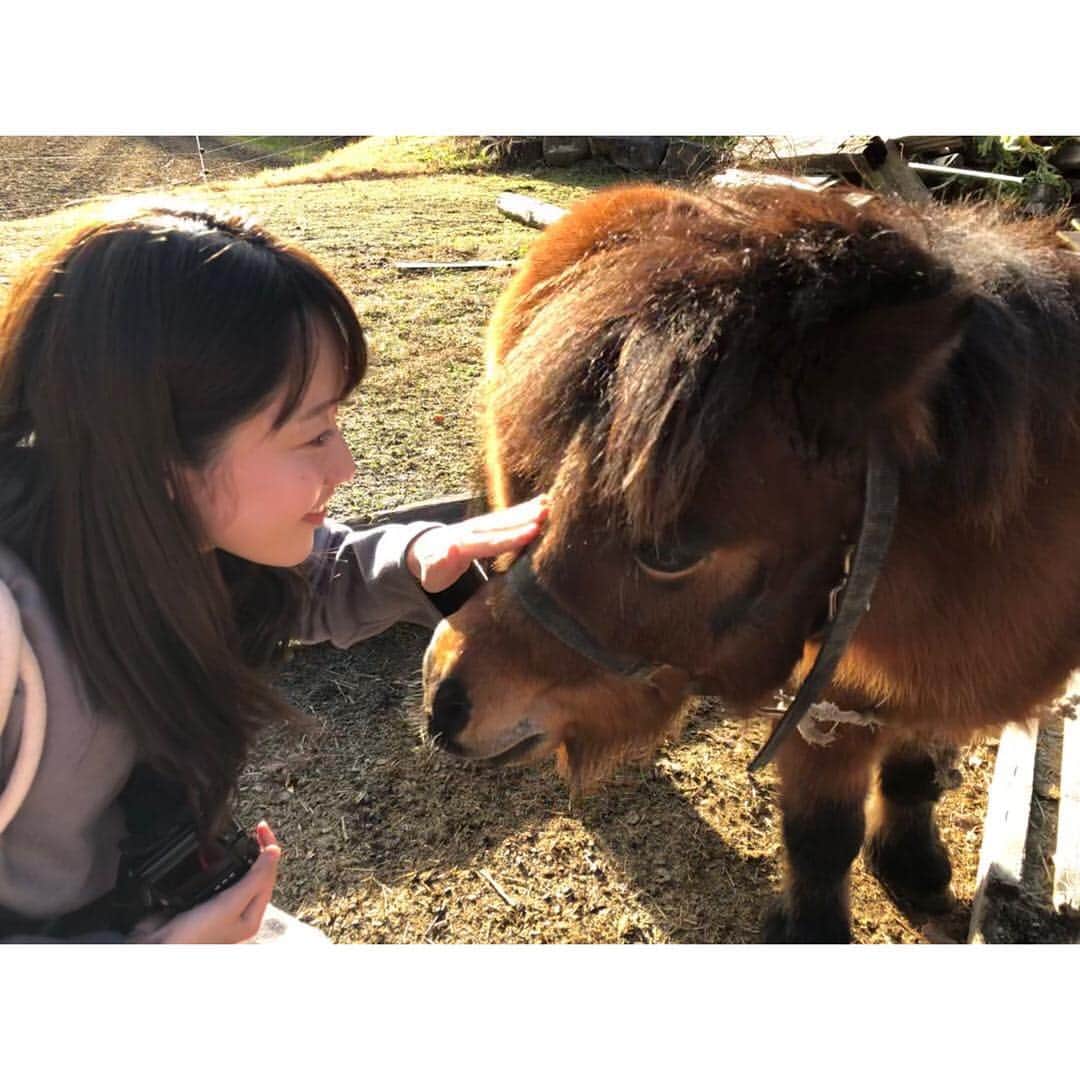 河村綾奈のインスタグラム：「あけましておめでとうございます🌸 2018年も沢山のあたたかいメッセージを 本当にありがとうございました。  新しい年、明るく楽しい出来事が ひとつひとつ増えていきますように。 強く、しなやかに✿  #イノシシではなく #ポニーです 🐴  おじいちゃんとおばあちゃんの優しい手。 今年も元気でいてね。」