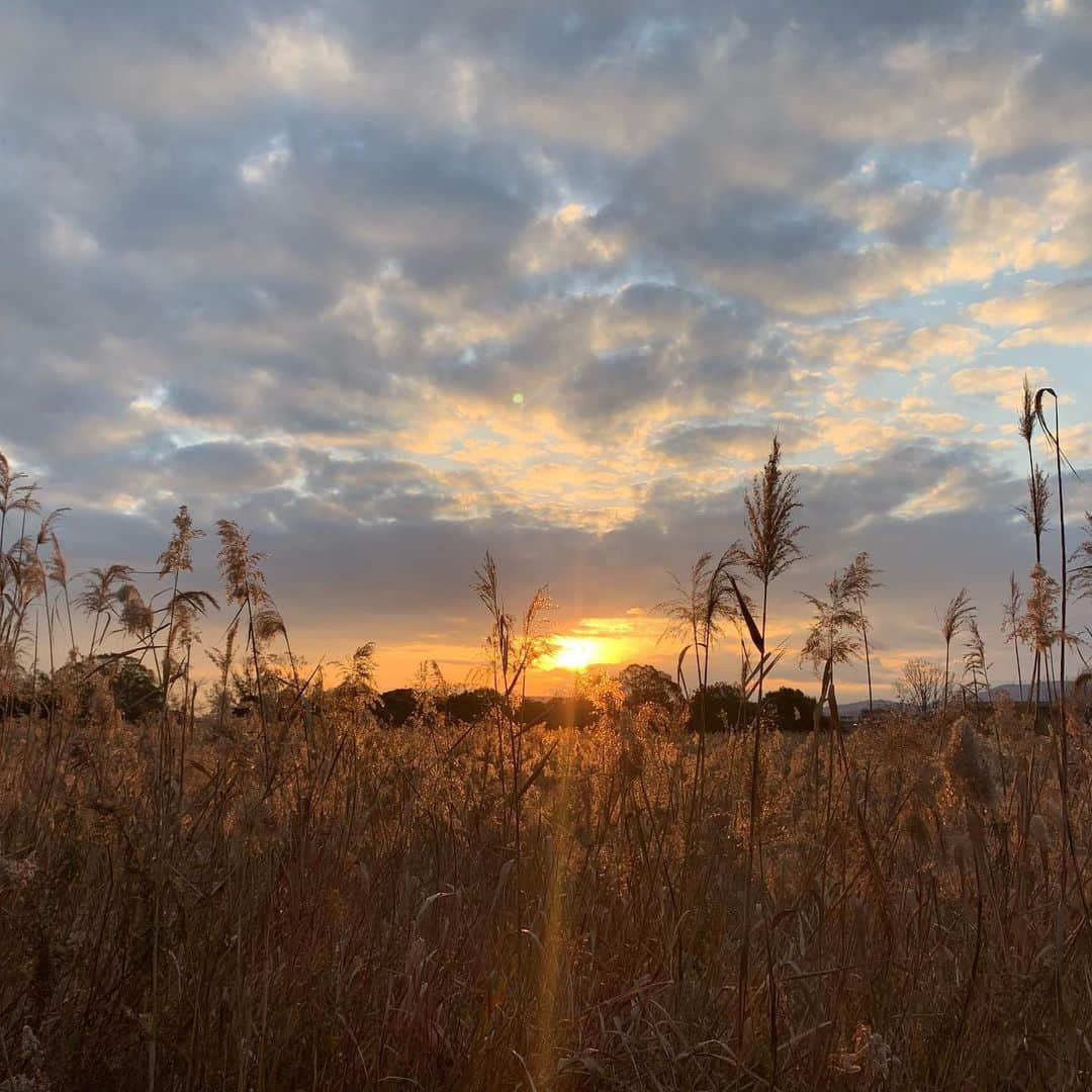 中村優さんのインスタグラム写真 - (中村優Instagram)「明けましておめでとうございます㊗️🎍🌅2019年もよろしくお願いします🤲❤️」1月1日 17時18分 - nkmr_yu