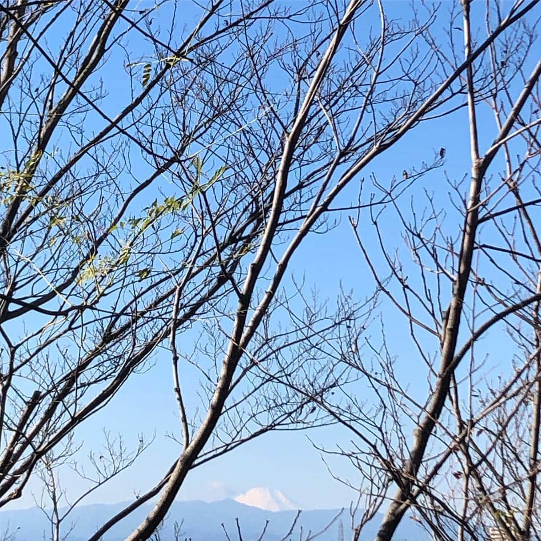 岡田美里さんのインスタグラム写真 - (岡田美里Instagram)「✨HAPPY NEW YEAR✨ 新年あけましておめでとうございます  遠くに望む小さな小さな富士山です。 今年も一歩一歩、小さな富士山を登っていくような年にしたいです。  しあわせな一年になりますように✨」1月1日 17時51分 - millieokada