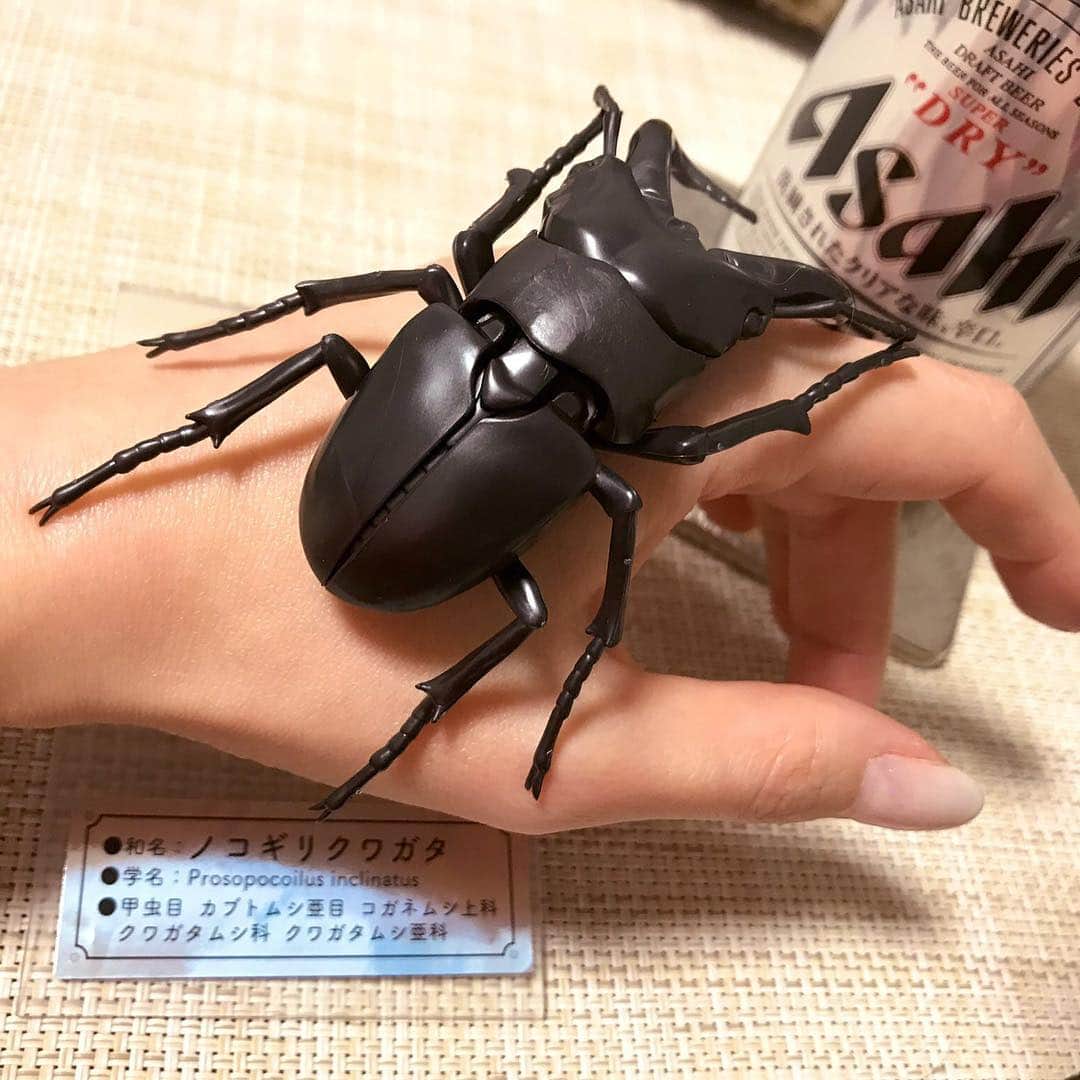 夏日凜子のインスタグラム