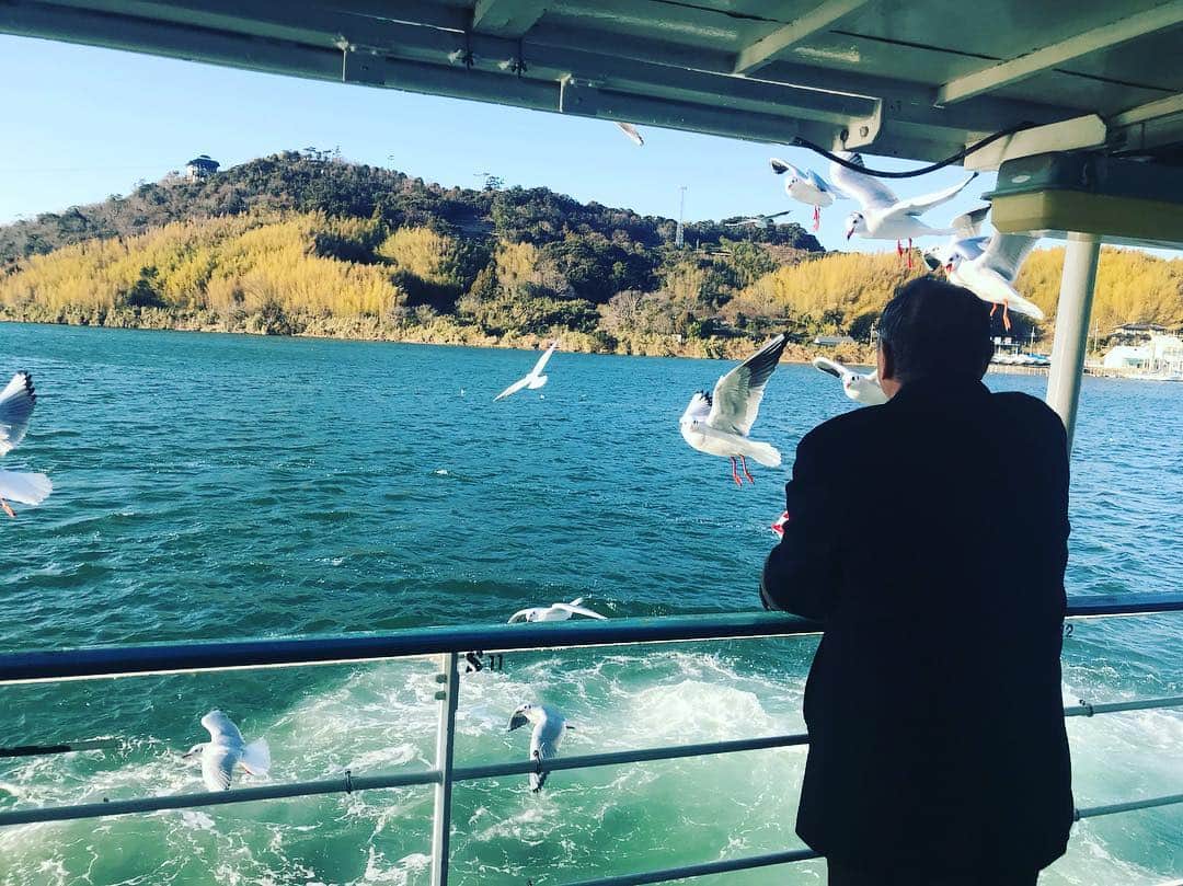 角田陽一郎さんのインスタグラム写真 - (角田陽一郎Instagram)「浜名湖遊覧船。シュールレアリスム絵画のようなカモメ。」1月1日 18時36分 - kakuichi44