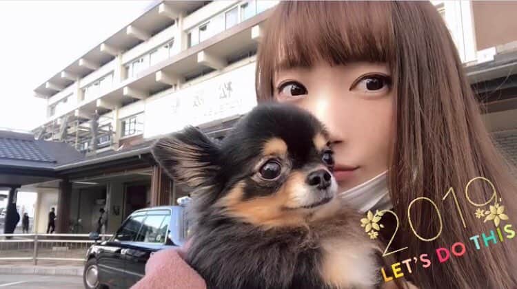 梅田悠のインスタグラム：「2019年もよろしくお願い致します😊🙏🎍💖 #Uluさん #チワワ #ブラックタン #愛犬 #ペット」