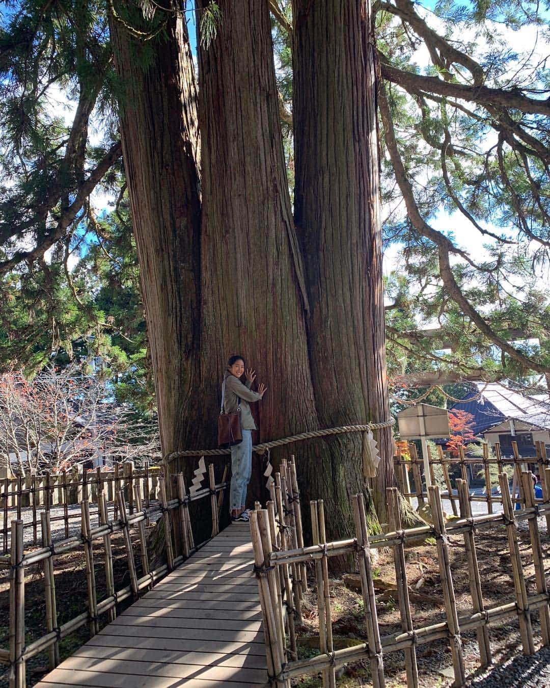 のインスタグラム：「🌅⛩🗻🎍 あけましておめでとうございます🎌 本年もよろしくお願いします🙇‍♀️ おっしゃー‼︎今年もがんばるぞー‼︎ #newyear#2019#beachvolleyball #縁起の良さそうな写真をチョイス #保護色」