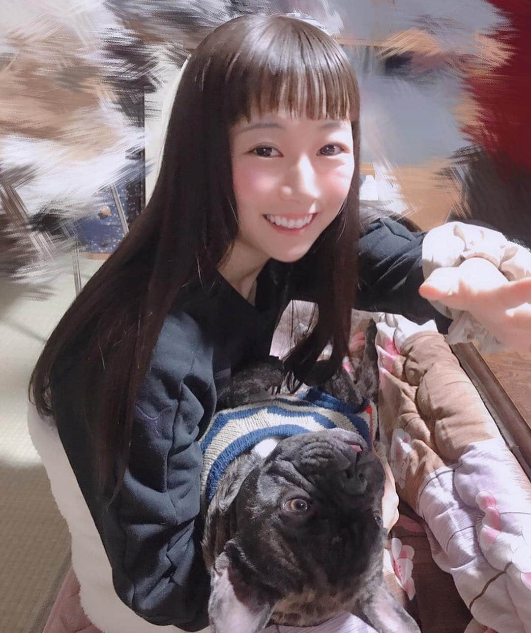 宮内桃子さんのインスタグラム写真 - (宮内桃子Instagram)「お犬さんとの写真って🐶 面白くないかもしれない上に  だるだるしていますが想い出に載せます。（笑）  頬っぺたがとっても可愛いなぁ 舌ベロぺろぺろだなぁ。  #フレンチブルドッグ #お正月 #2019年 #元旦 #思い出」1月1日 23時49分 - bakemonomomo