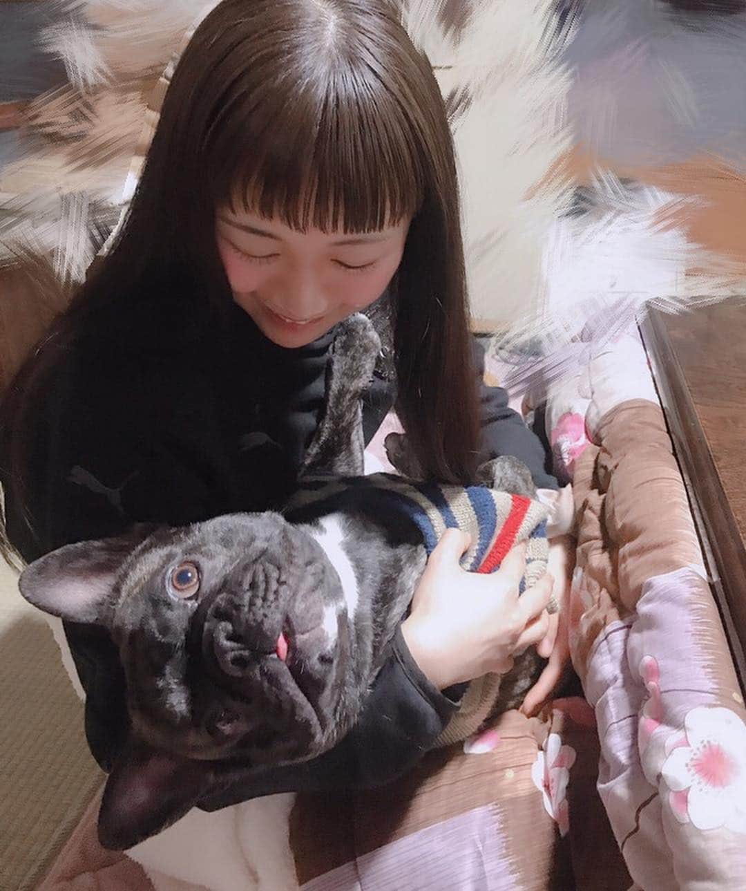 宮内桃子さんのインスタグラム写真 - (宮内桃子Instagram)「お犬さんとの写真って🐶 面白くないかもしれない上に  だるだるしていますが想い出に載せます。（笑）  頬っぺたがとっても可愛いなぁ 舌ベロぺろぺろだなぁ。  #フレンチブルドッグ #お正月 #2019年 #元旦 #思い出」1月1日 23時49分 - bakemonomomo
