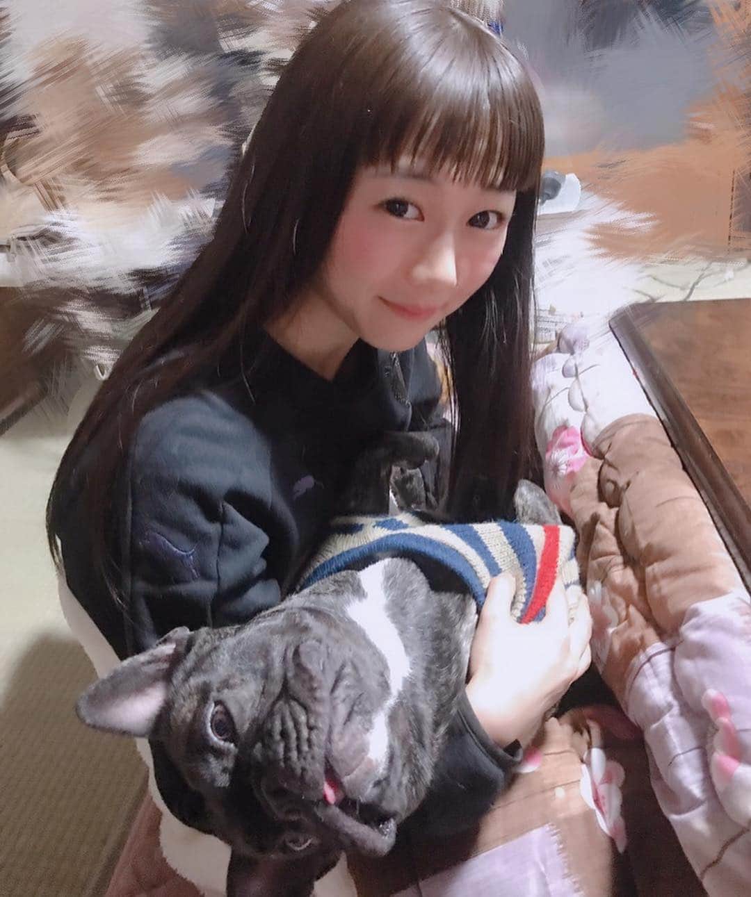 宮内桃子さんのインスタグラム写真 - (宮内桃子Instagram)「お犬さんとの写真って🐶 面白くないかもしれない上に  だるだるしていますが想い出に載せます。（笑）  頬っぺたがとっても可愛いなぁ 舌ベロぺろぺろだなぁ。  #フレンチブルドッグ #お正月 #2019年 #元旦 #思い出」1月1日 23時49分 - bakemonomomo