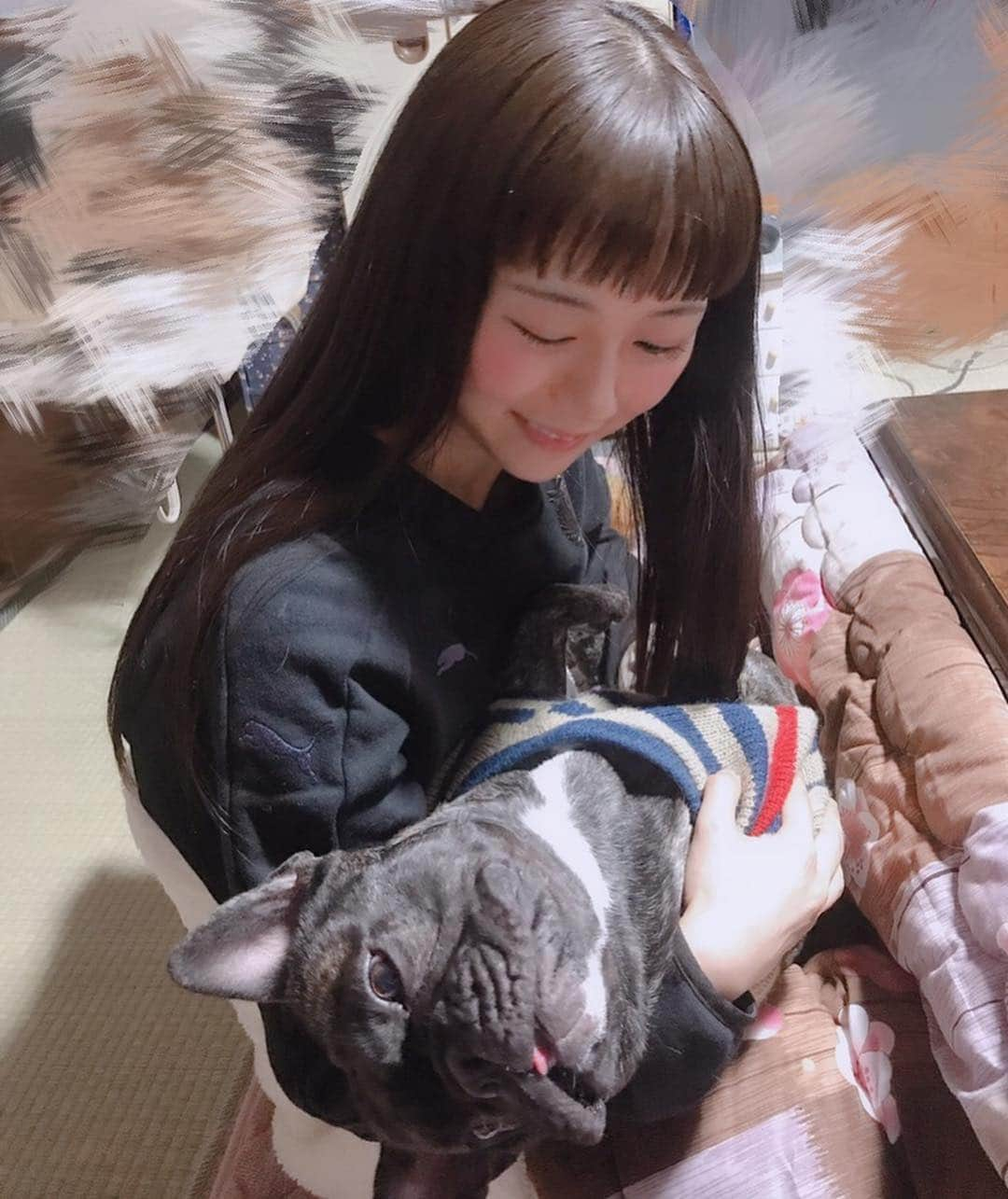 宮内桃子さんのインスタグラム写真 - (宮内桃子Instagram)「お犬さんとの写真って🐶 面白くないかもしれない上に  だるだるしていますが想い出に載せます。（笑）  頬っぺたがとっても可愛いなぁ 舌ベロぺろぺろだなぁ。  #フレンチブルドッグ #お正月 #2019年 #元旦 #思い出」1月1日 23時49分 - bakemonomomo