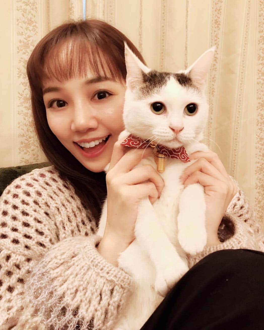咲妃みゆのインスタグラム：「明けましておめでとうございます🎍✨ . 旧年も、多くの方々の温かいお心に力を頂き邁進することが出来ました😌感謝の気持ちでいっぱいです。本当にありがとうございました。 . 2019年はどんな一年になるのでしょうね✨ . 真っ直ぐ向き合い、一歩ずつ。。。 . を目標に一日一日を大切に過ごしたいと思います！ . 皆様に沢山の幸せが訪れますように…🍀 本年もどうぞ宜しくお願い致します！ . #2019年 #平成31年 . #我が家のアイドル #ゆきちゃん 🐈💕 #嫌がってる …⁈😅」