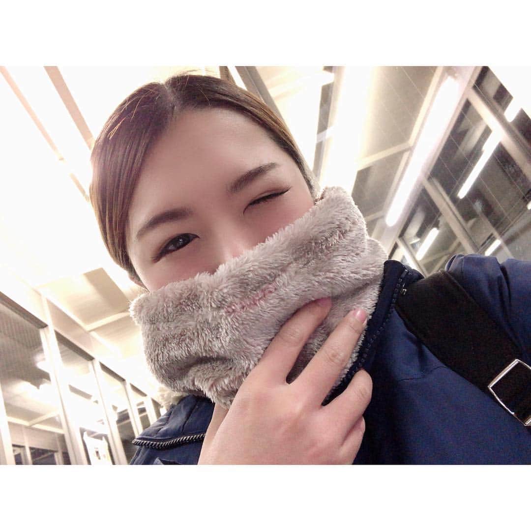 福咲れんのインスタグラム：「2019 釣りはじめ。 .  いつもお世話になっている船宿さんへ。 アジ 17匹、サバ3匹。 なかなか良かったんじゃないでしょうか( •̀ω•́ )  新しく買ったネックウォーマーが、とってもあったかかった☺︎ とりいそぎ、お刺身と味噌煮。  魚捌くと猫が寄って来る。  #釣り #fishing  #釣りガール #tsurijoy  #釣り初め #鯵 #アジ #釣り好きな人と繋がりたい」