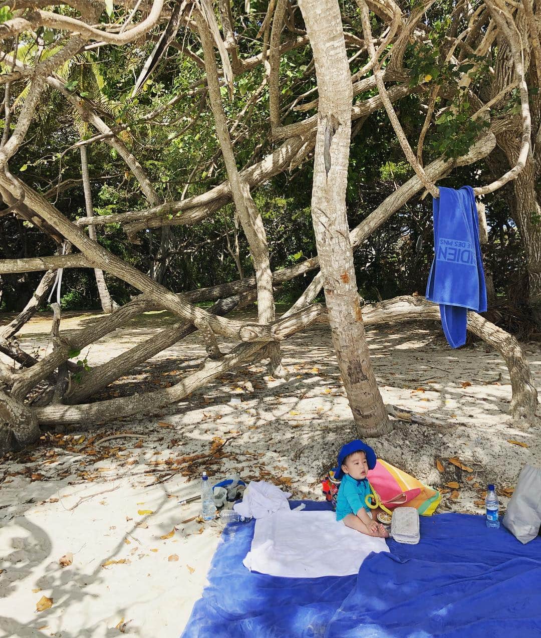 八木早希さんのインスタグラム写真 - (八木早希Instagram)「日差しは強いですが、木陰はサラサラした風が吹き抜けます🌿ビーチ沿いのサンドイッチも美味！🇫🇷#子連れ海外#ニューカレドニア#イルデパン#クトビーチ#kutobeach」1月2日 11時06分 - sakiyagi
